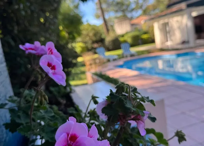 3 Etoiles Piscine Chauffee 6 Pers